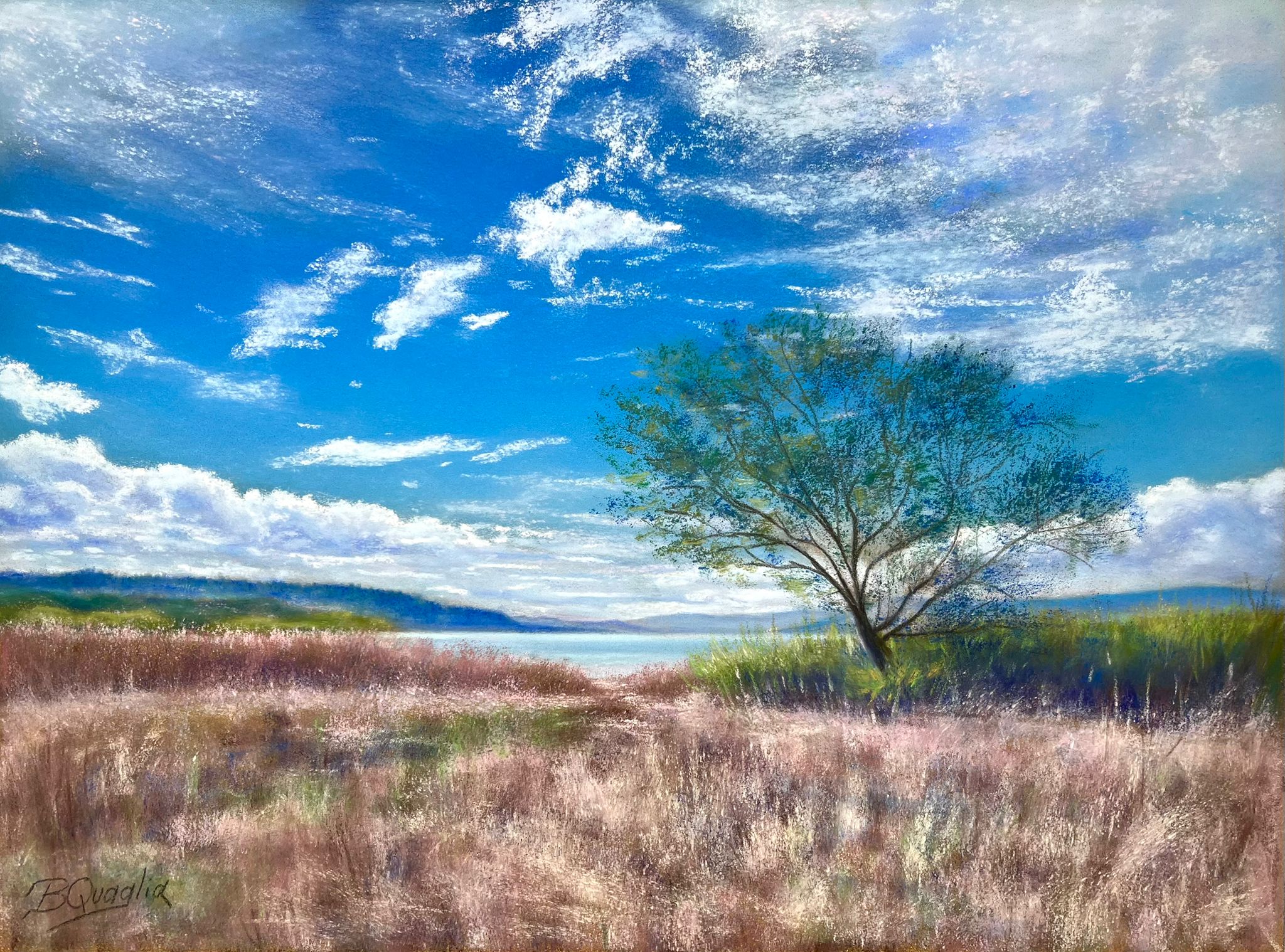 Gallery image 1