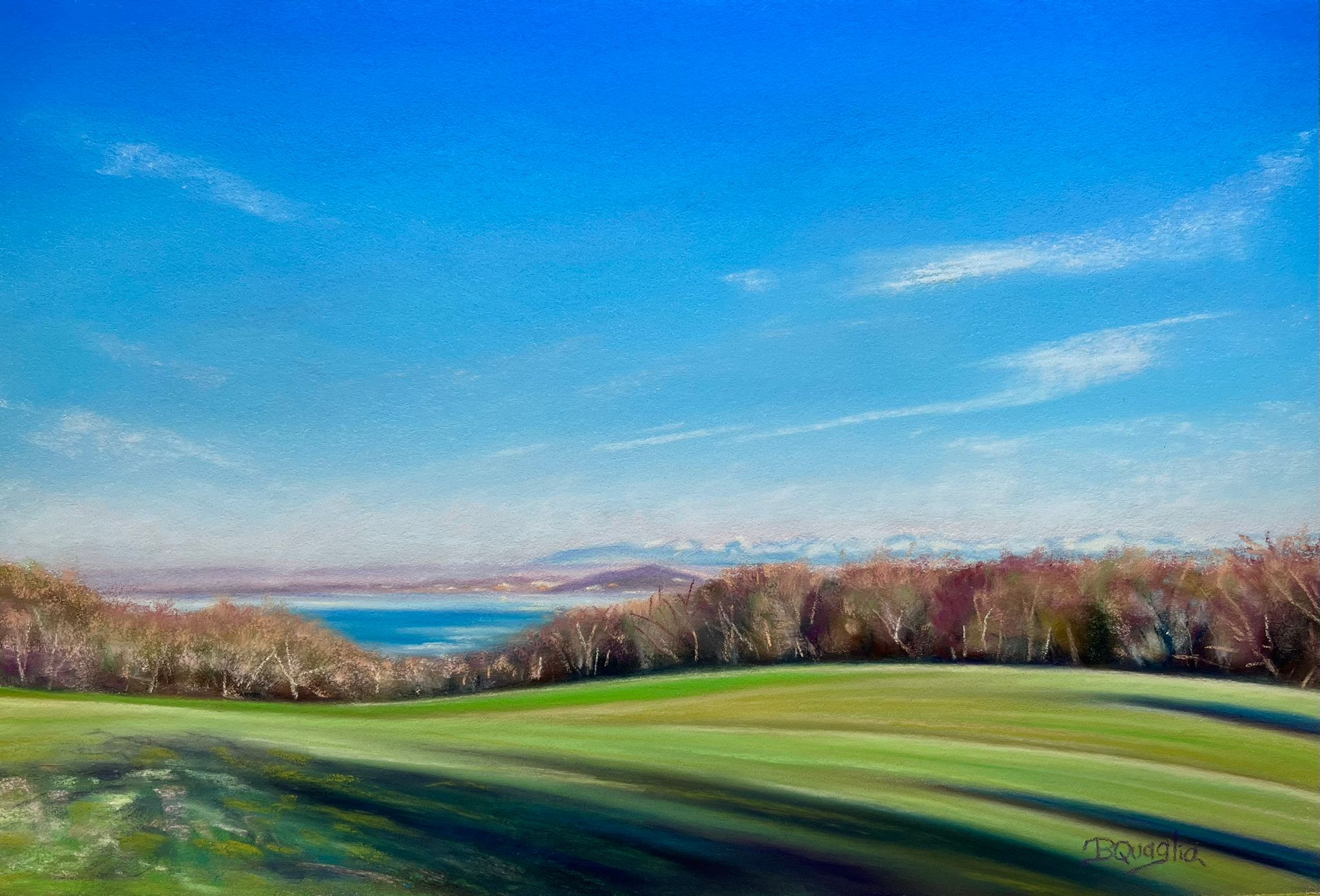 Gallery image 7